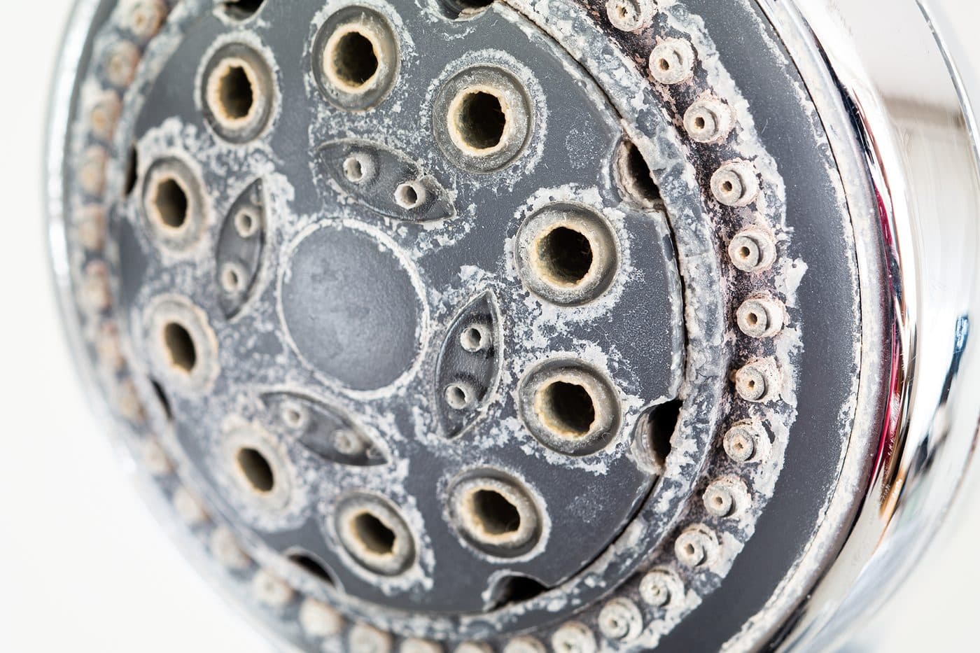 Close-up of a shower head with hard water scale crusted around and inside every jet